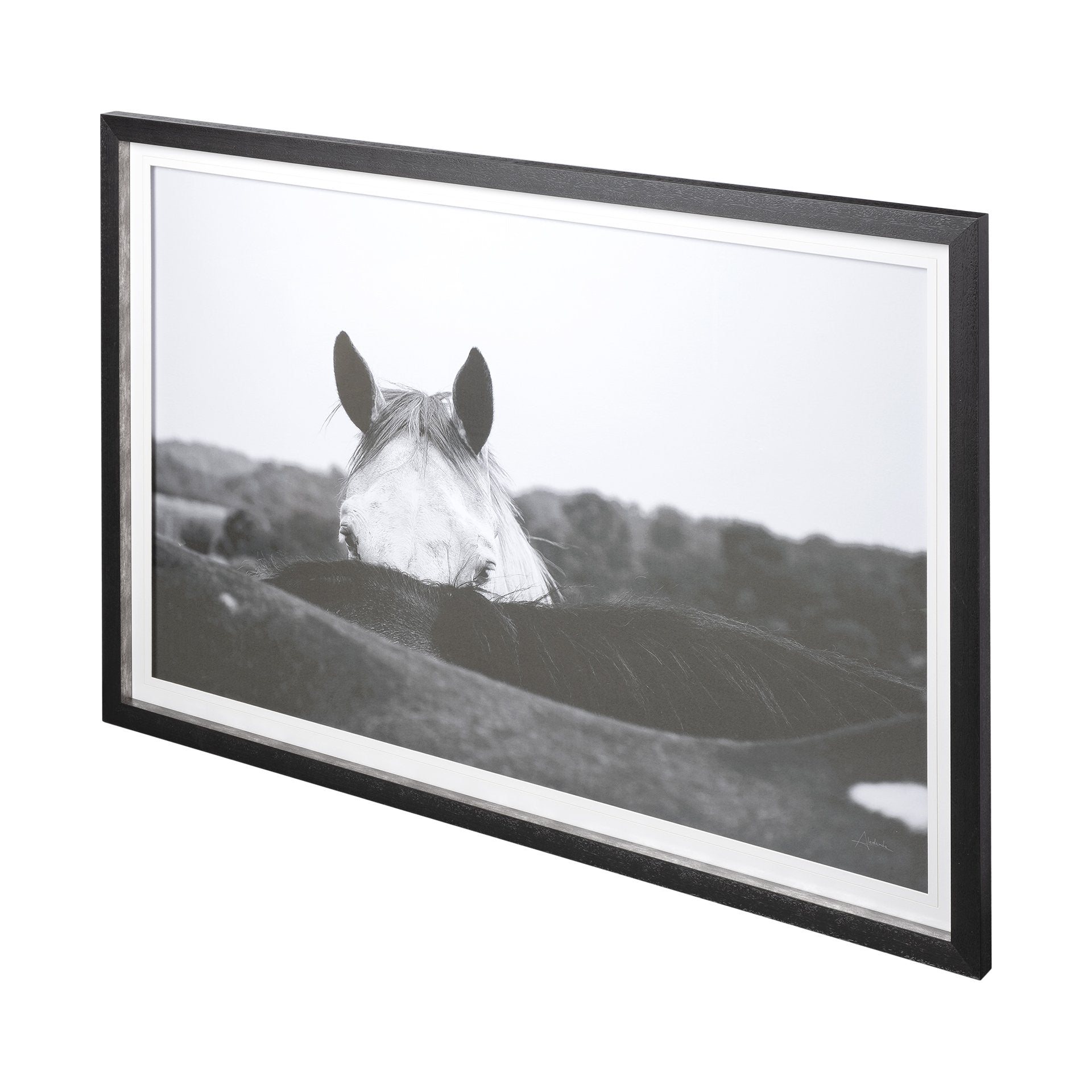 FRAMED